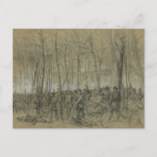 Amerikaanse burgeroorlog: De wilde natuur Briefkaart