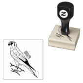 Amerikaanse cartoon rubberstempel (Gestempeld)