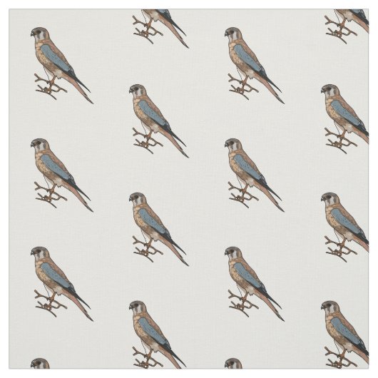 Amerikaanse cartoon stof (Swatch)