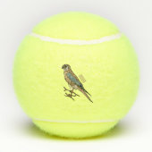 Amerikaanse cartoon tennisballen (Achterkant)