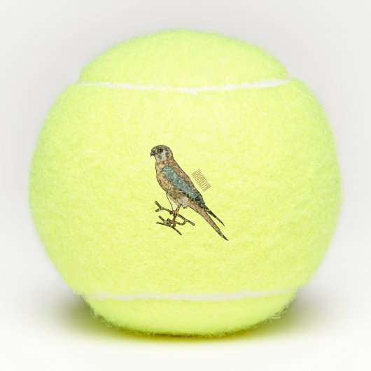Amerikaanse cartoon tennisballen (Voorkant)