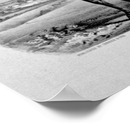 Amerikaanse clipse poster (Hoek)