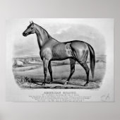 Amerikaanse clipse poster (Voorkant)