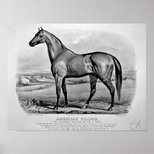 Amerikaanse clipse poster