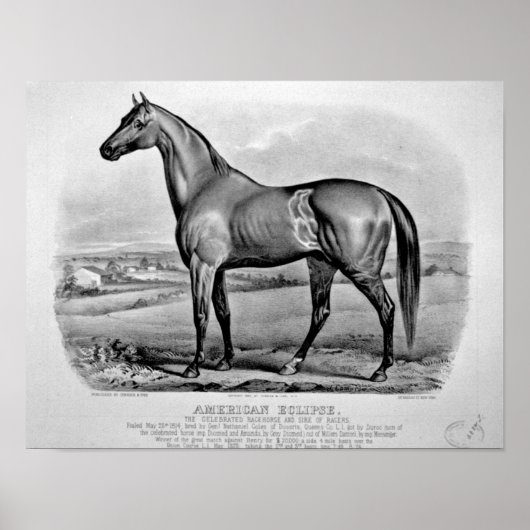 Amerikaanse clipse poster (Voorkant)