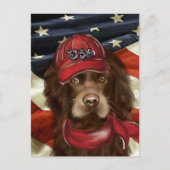 Amerikaanse Cocker Spaniel Briefkaart (Voorkant)