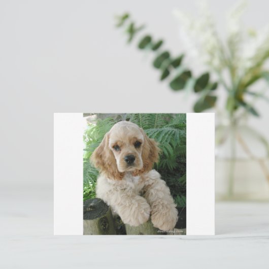 Amerikaanse Cocker Spaniel Dog en Green Fern Briefkaart (Staand voorkant)