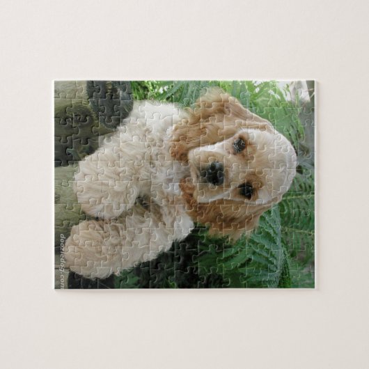 Amerikaanse Cocker Spaniel Dog en Green Fern Legpuzzel (Horizontaal)