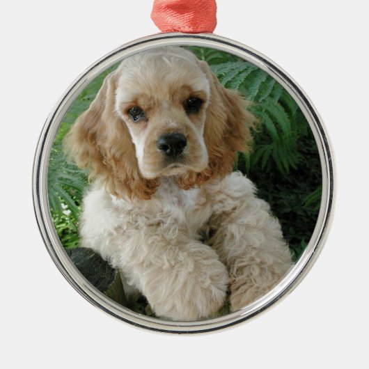 Amerikaanse Cocker Spaniel Dog en Green Fern Metalen Ornament (Voorkant)