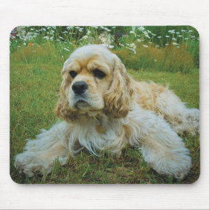 Amerikaanse Cocker Spaniel Dog Muismat