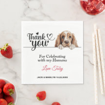 Amerikaanse Cocker Spaniel Hond Huwelijks Cocktail
