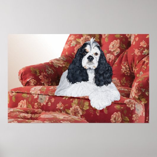Amerikaanse Cocker Spaniel in rode stoel Poster (Voorkant)