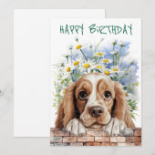 Amerikaanse Cocker Spaniel Peeking Feestdagenkaart (Voorkant / Achterkant)