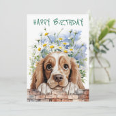 Amerikaanse Cocker Spaniel Peeking Feestdagenkaart (Staand voorkant)