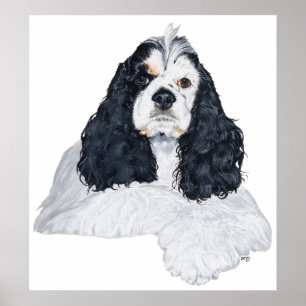 Amerikaanse Cocker Spaniel Poster
