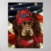 Amerikaanse Cocker Spaniel  Poster (Voorkant)