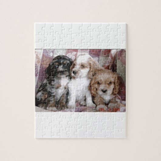 Amerikaanse Cocker Spaniel-Puppies Legpuzzel (Verticaal)