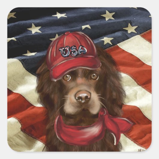 Amerikaanse Cocker Spaniel Vierkante Sticker (Voorkant)