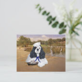 Amerikaanse Cocker Spaniel Zeiler Briefkaart (Staand voorkant)