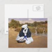 Amerikaanse Cocker Spaniel Zeiler Briefkaart (Voorkant / Achterkant)
