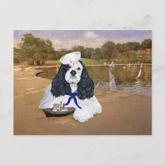 Amerikaanse Cocker Spaniel Zeiler Briefkaart (Voorkant)
