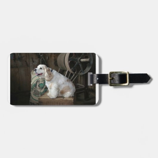 Amerikaanse cocker spaniel zittend bagagelabel (Voorkant horizontaal)