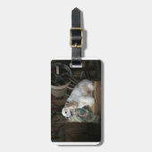 Amerikaanse cocker spaniel zittend bagagelabel (Voorkant verticaal)