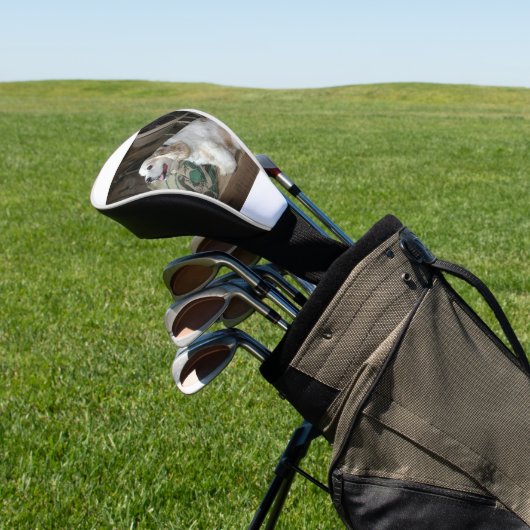 amerikaanse cocker spaniel zittend golfheadcover (Insitu)