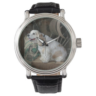 amerikaanse cocker spaniel zittend horloge