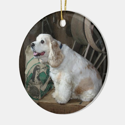 amerikaanse cocker spaniel zittend keramisch ornament (Links)