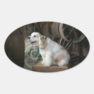 amerikaanse cocker spaniel zittend ovale sticker