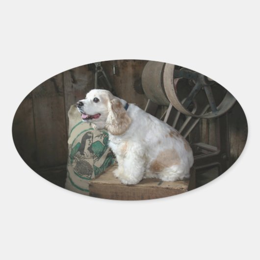 amerikaanse cocker spaniel zittend ovale sticker (Voorkant)