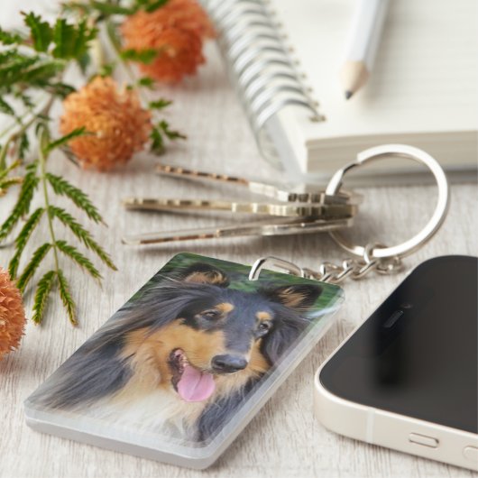 Amerikaanse Colley. Sleutelhanger (Voorkant Rechts)