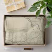Amerikaanse contouren tissuepapier (Geschenk)