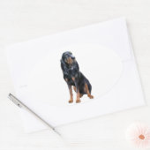 Amerikaanse Coon Hound - Zwart en Tan Ovale Sticker (Envelop)