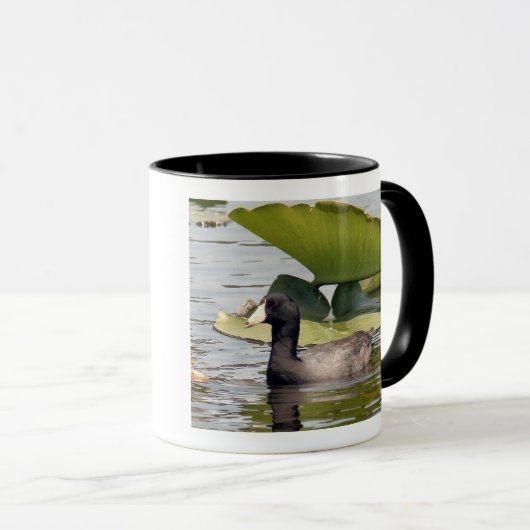 Amerikaanse Coot Mok (Voorkant rechts)