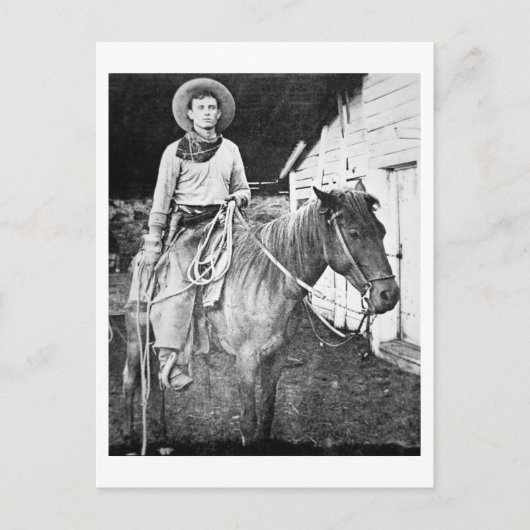 Amerikaanse cowboy in Kansas, c.1880 (foto) Briefkaart (Voorkant)
