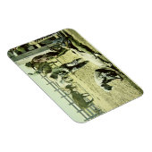 Amerikaanse cowboys branding a calf, c.1900 (foto) magneet (Rechterzijde)