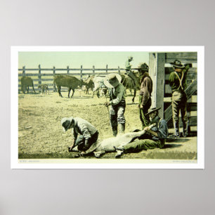 Amerikaanse cowboys branding a calf, c.1900 (foto) poster