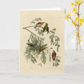 Amerikaanse Crossbill uit Audubon's Birds of Ameri Kaart (Gele Bloem)