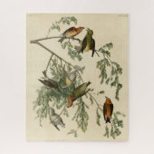 Amerikaanse Crossbill uit Audubon's Birds of Ameri Legpuzzel (Verticaal)