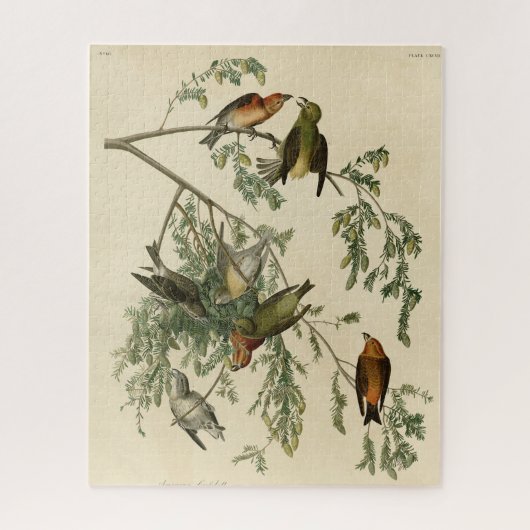 Amerikaanse Crossbill uit Audubon's Birds of Ameri Legpuzzel (Verticaal)