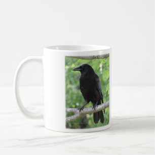 Amerikaanse Crow Koffiemok
