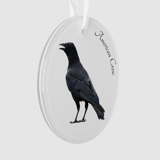 Amerikaanse Crow Ornament (voorkant)