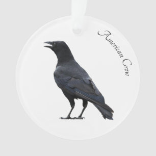 Amerikaanse Crow Ornament