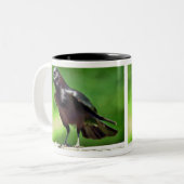 Amerikaanse Crow Tweekleurige Koffiemok (Voorkant links)