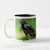 Amerikaanse Crow Tweekleurige Koffiemok (Links)