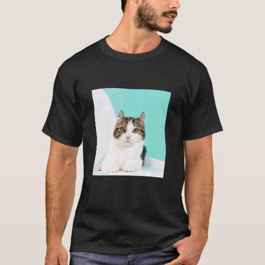 amerikaanse curl's kat_001 t-shirt (Voorkant)