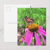 Amerikaanse dame briefkaart (Voorkant / Achterkant)