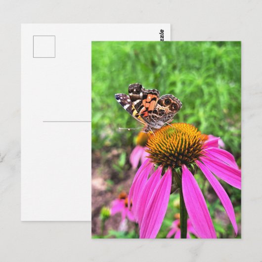 Amerikaanse dame briefkaart (Voorkant / Achterkant)